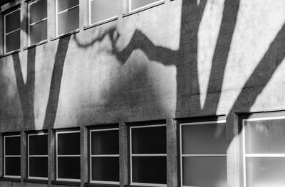 Shadow of window on wall of building