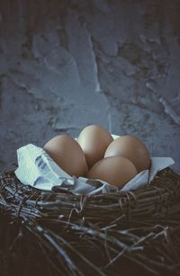 Close-up of eggs in bird nest by weathered wall