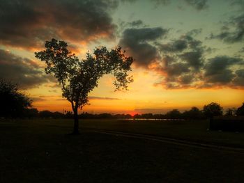 Silhouette tree against dramatic sky during sunset