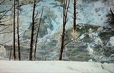 Close-up of frozen glass window