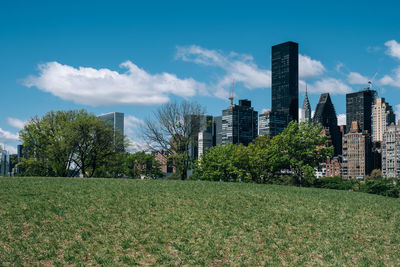 Trees growing on field against buildings in city