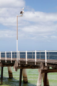 Railing by sea against sky