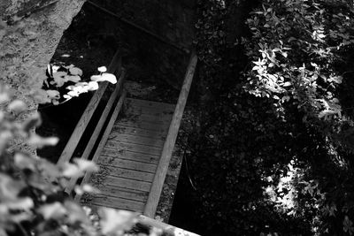 High angle view of tree by staircase