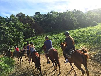 Rear view of people riding horses against sky