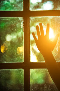 Close-up of hand touching glass window