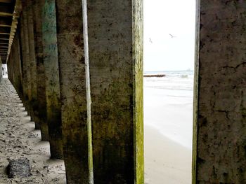 Close-up of beach against sky