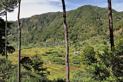 Scenic view of landscape