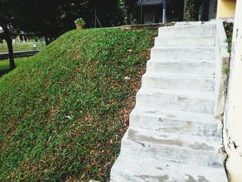 View of footpath in park