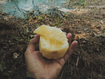 Close-up of hand holding apple