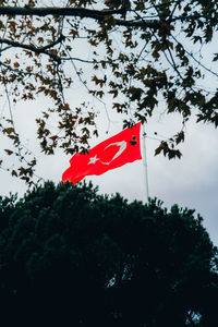 Low angle view of flag against sky