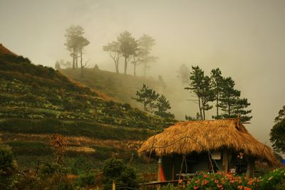Scenic view of landscape against sky during sunset