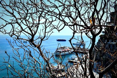 Bare tree by sea against sky