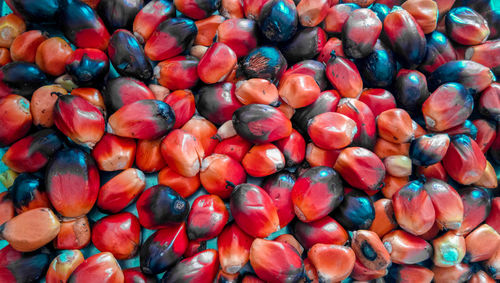 Full frame shot of blueberries