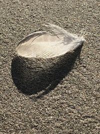 High angle view of shadow on sand