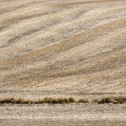 View of snowy field