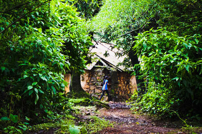 View of trees and plants