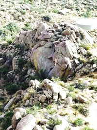 Rocks on rock formation