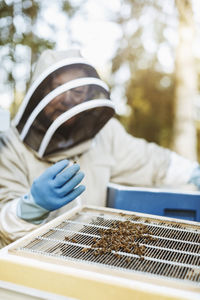 Beekeeper examining beehive on sunny day