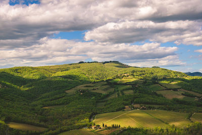 Scenic view of agricultural fields against sky