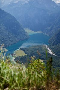 High angle view of plants and mountains