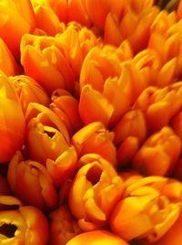 Full frame shot of oranges