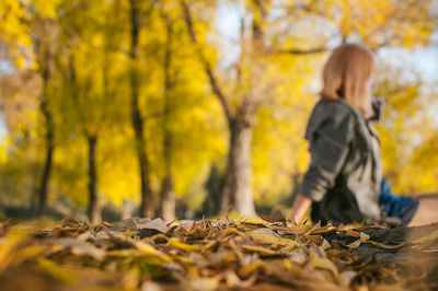 Woman on yellow tree during autumn