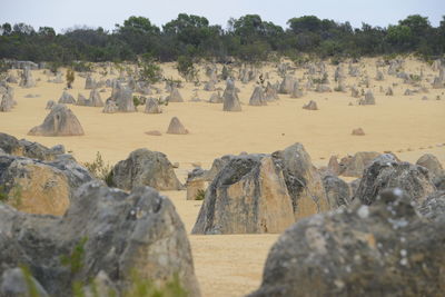 Panoramic view of rocks on landscape