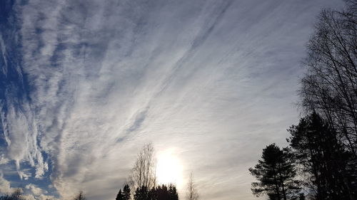 Low angle view of silhouette trees against sky