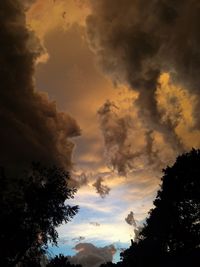 Low angle view of silhouette trees against sky