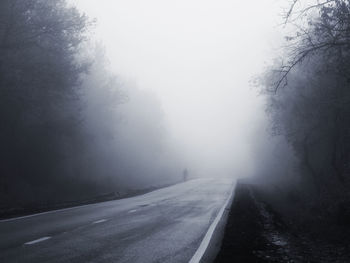 Road amidst trees during foggy weather