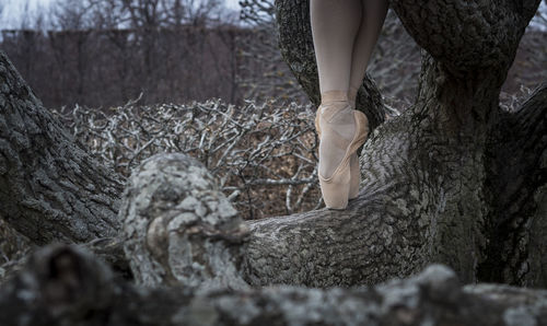 Low section of woman standing on tree trunk