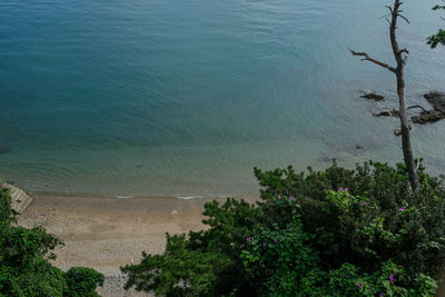 High angle view of beach