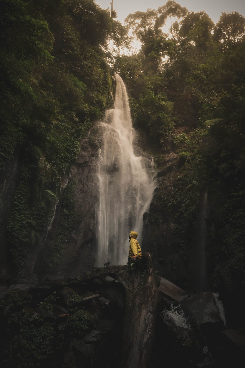 WATER FLOWING THROUGH ROCKS IN FOREST