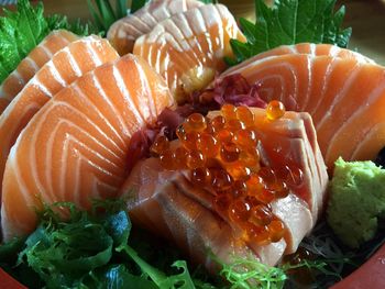Close-up of sushi served in plate