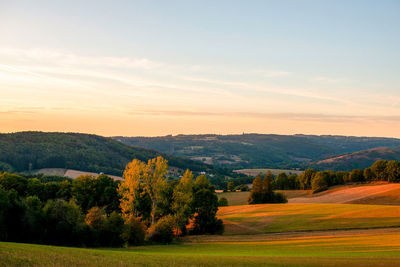 Scenic view of field against sky during sunset