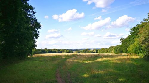 Scenic view of landscape against sky