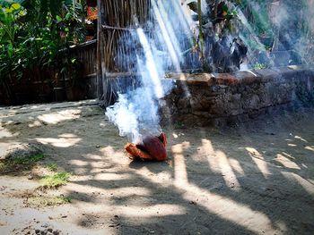 View of waterfall in forest