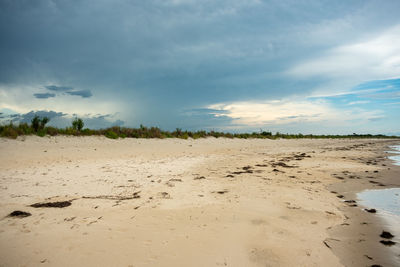 Scenic view of beach against sky