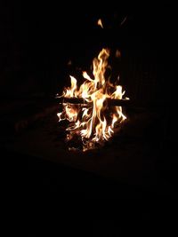 Bonfire at night