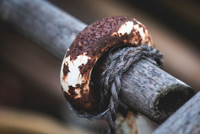 Close-up of rusty metal