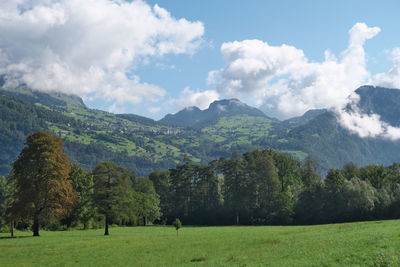 Scenic view of field against sky