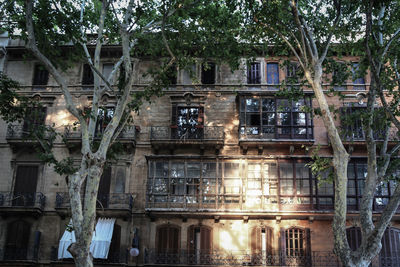 Building and trees in city