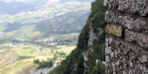 Close-up of tree against mountain