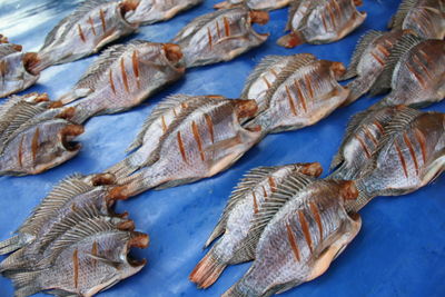 seafood