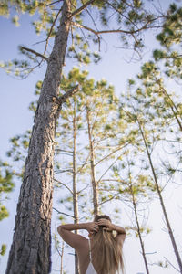 Low angle view of tree against sky