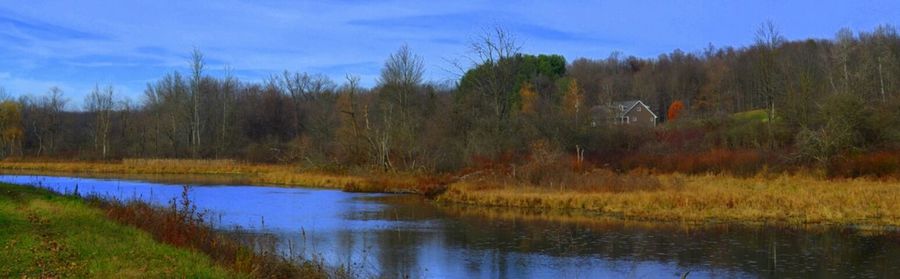 tranquil scene