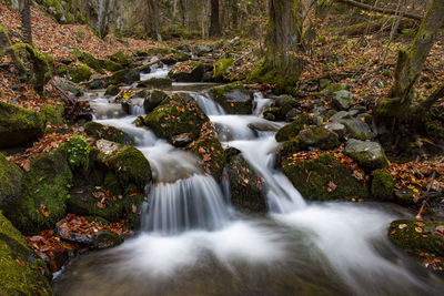 Stream flowing through rocks in forest