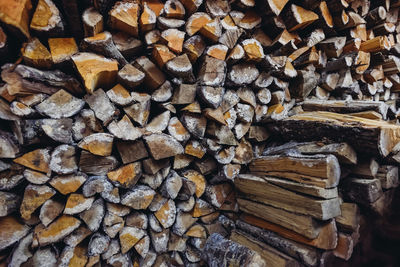 Full frame shot of logs in forest