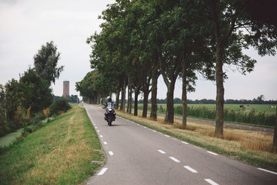 Scenic view of motorcycle on country road through trees