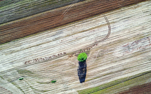 High angle view of person standing on wood